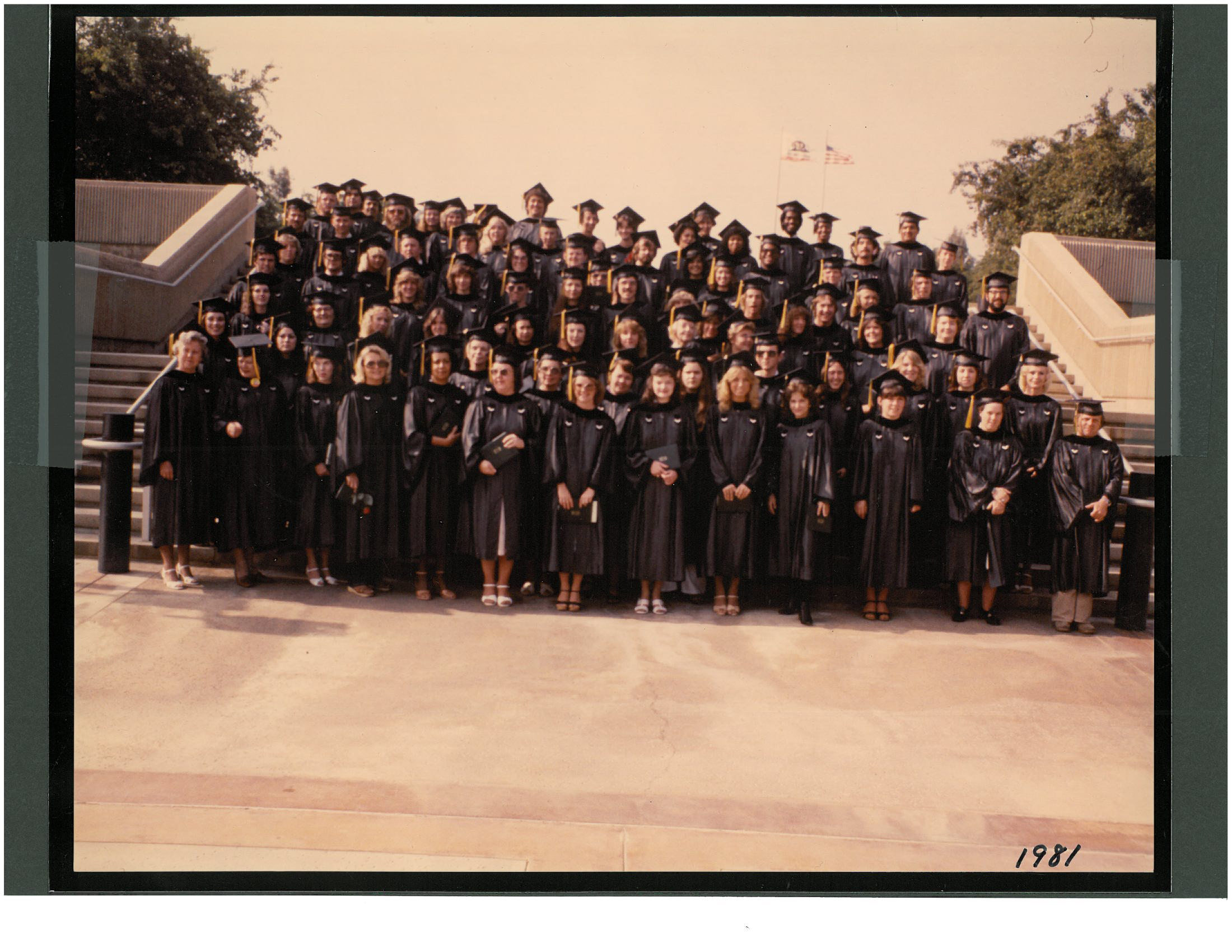 1981